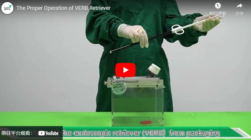 Правильная работа ретривер VERB